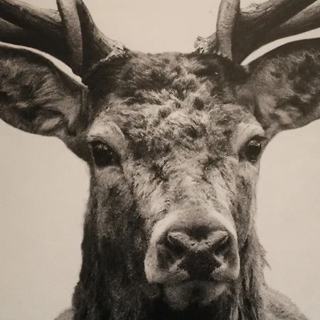 アパート Gravashome